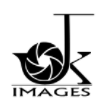 Logo of Jk images