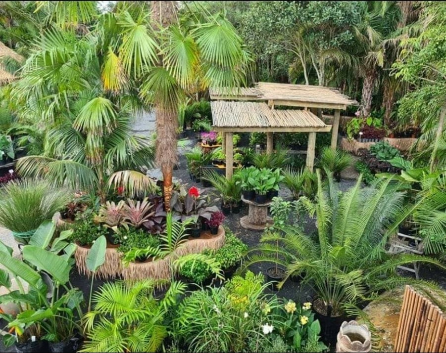 Green Earth - Gallery 3